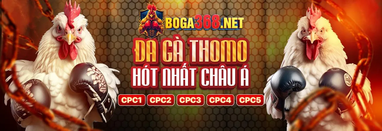 Hình ảnh Điều Khoản Dịch Vụ Abu999 Win 2026